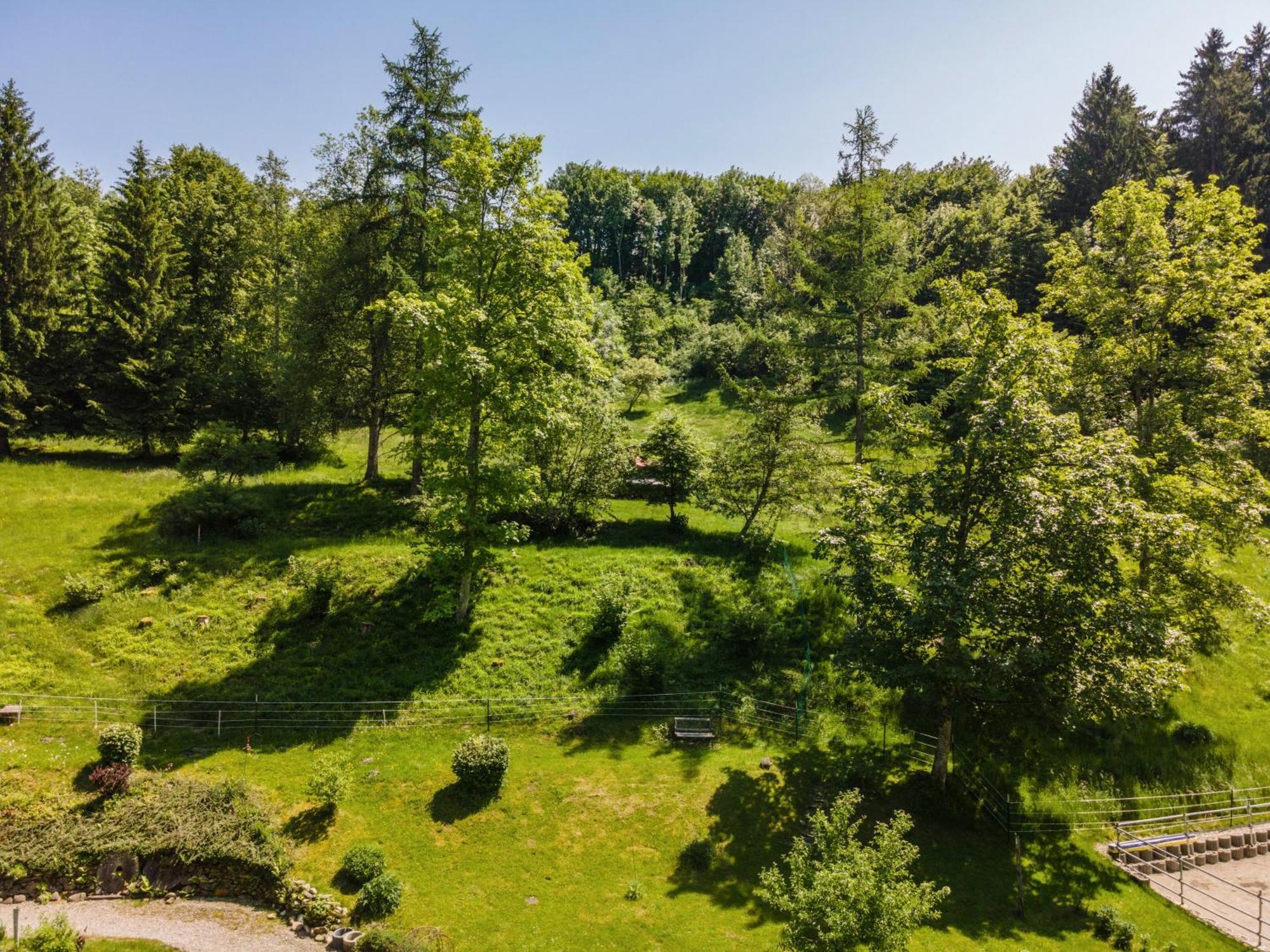 Balzerberg Appartement Weiler-Simmerberg Buitenkant foto